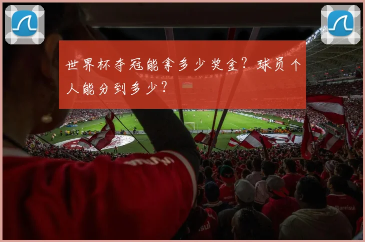 世界杯夺冠能拿多少奖金？球员个人能分到多少？