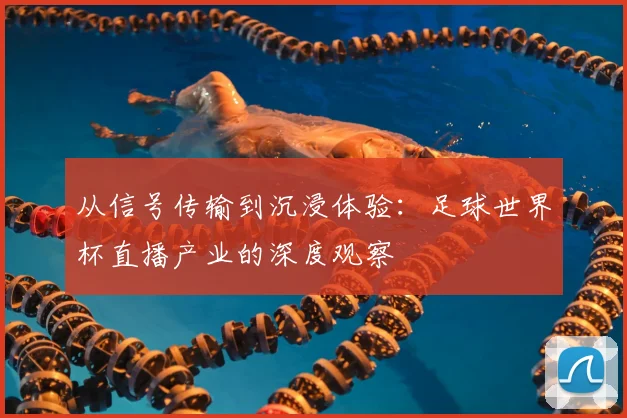 从信号传输到沉浸体验：足球世界杯直播产业的深度观察
