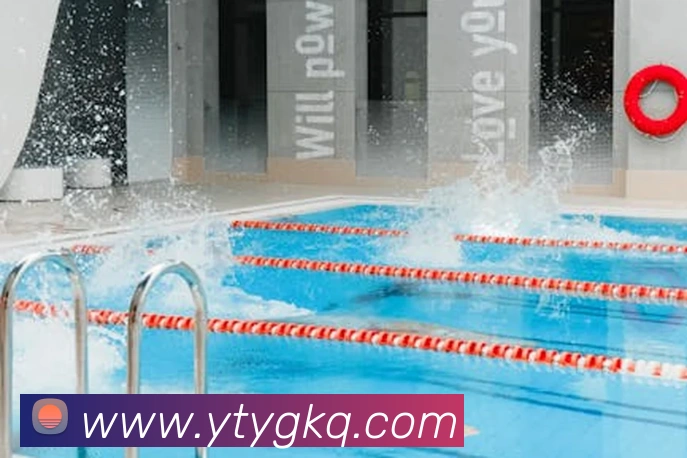 九游在线登陆官网APP 封面图